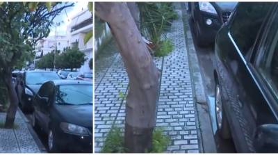 Ελευσίνα: Πάτησε κατά λάθος το γκάζι και εγκλώβισε τη 72χρονη μητέρα της σε δέντρο (βίντεο)