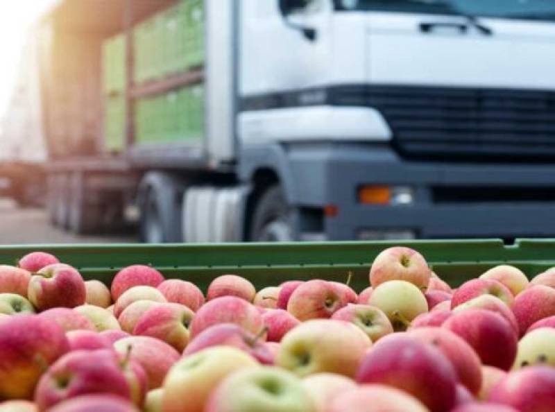 Φρούτα και λαχανικά: Αυξημένες οι εξαγωγές το οκτάμηνο του 2023