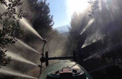 Κινητοποιήσεις αγροτών για άρδευση και δακοκτονία στην Πελοπόννησο