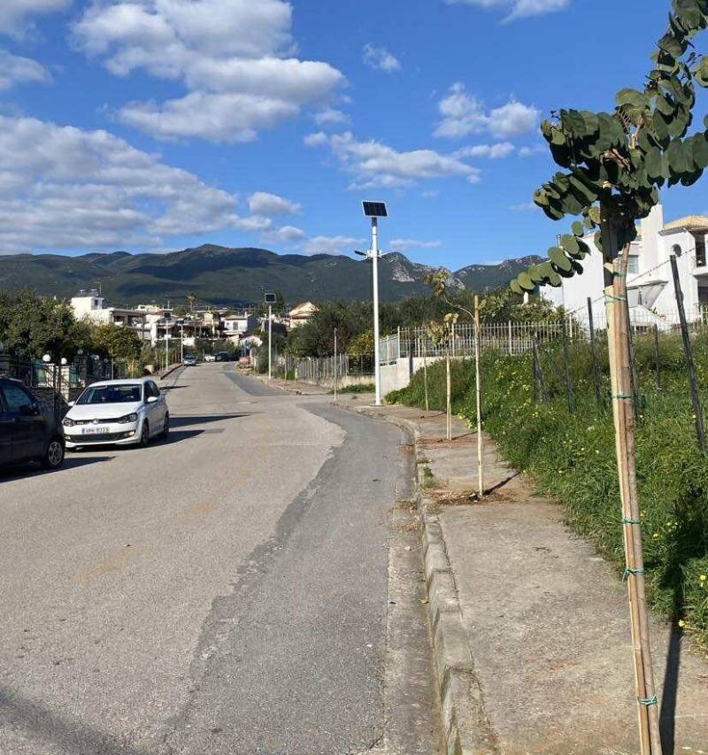 Δενδροφυτεύσεις στην Καλαμάτα