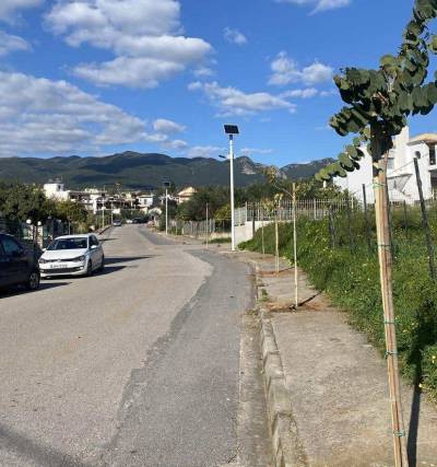 Δενδροφυτεύσεις στην Καλαμάτα