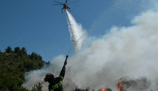 Νέα φωτιά στη Νεμέα - Ξέφυγε από την χωματερή και εξαπλώθηκε σε δασική έκταση