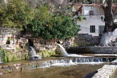 Το νέο ΔΣ των Απανταχού Μαυροματαίων “Αρχαία Μεσσήνη”