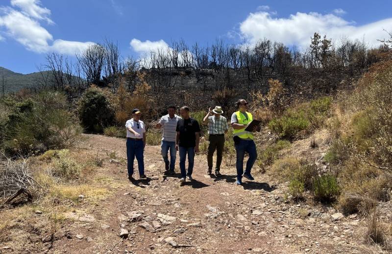 Αυτοψία Αναστασόπουλου στις καμένες περιοχές του Αετού