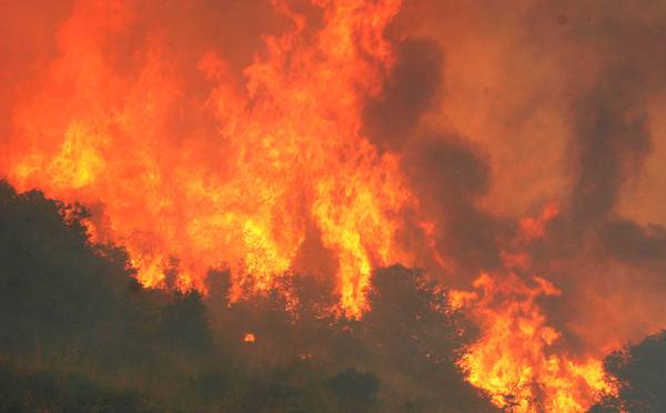 Οι δασικές πυρκαγιές είναι πιο μολυσματικές και σβήνουν πιο δύσκολα (βίντεο)