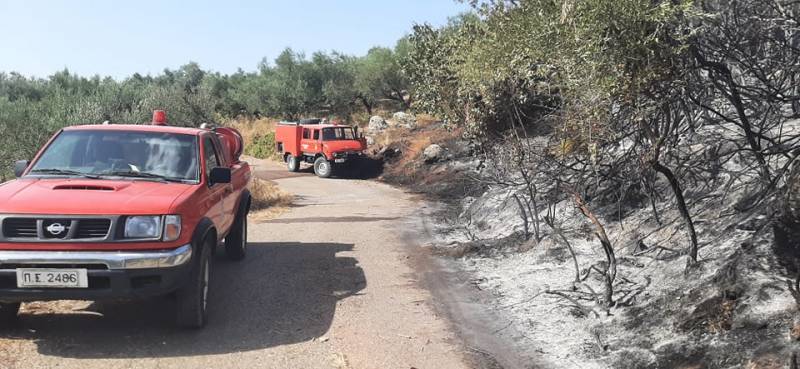 Μεσσηνία: Μερική εκκένωση σε σπίτια του Βλαχόπουλου - Η πυρκαγιά καίει σε διάσπαρτα μέτωπα