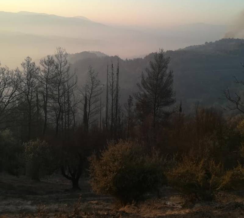 Τρίπολη: Παραμένει αρκετά δύσκολη η κατάσταση με την φωτιά στην περιοχή της Γορτυνίας