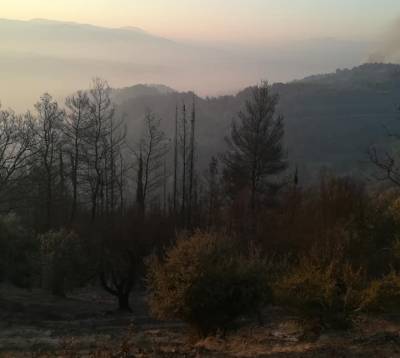 Τρίπολη: Παραμένει αρκετά δύσκολη η κατάσταση με την φωτιά στην περιοχή της Γορτυνίας