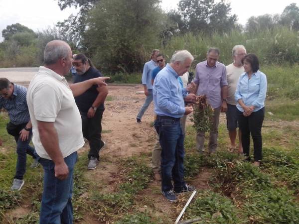Συνέλευση αγροτών για τις αποζημιώσεις στη Μεσσήνη 