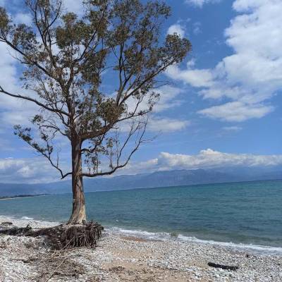 Οι δυσαρεστημένοι και οι βολεμένοι