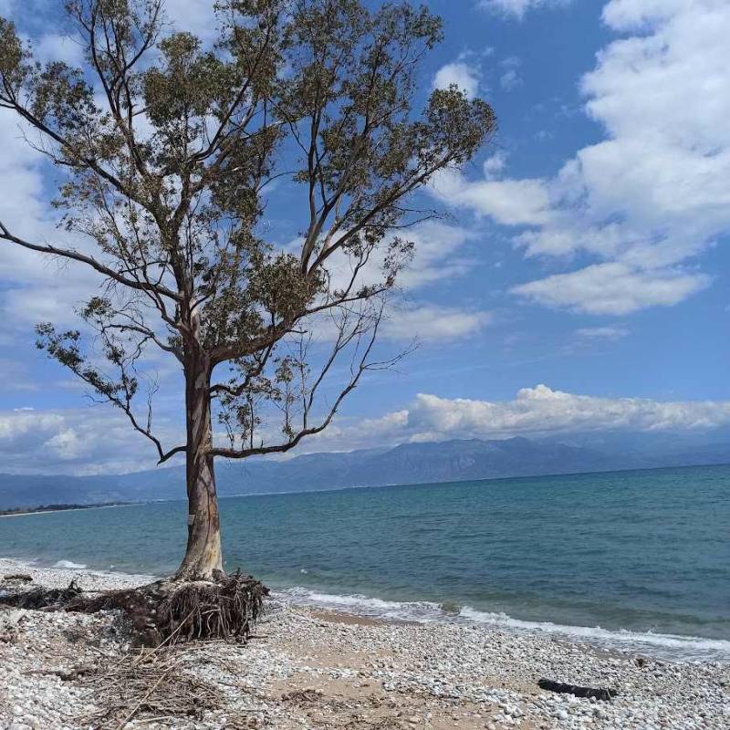 Οι δυσαρεστημένοι και οι βολεμένοι