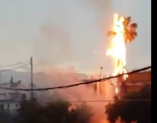 Καλαμάτα: Φωτιά από κεραυνό σε φοίνικα στην οδό Λακωνικής (βίντεο)