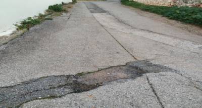 Ερωτήσεις Κανάκη για Λέικα και φροντίδα ζώων