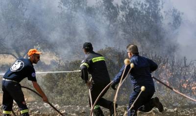 Πυροσβεστική: 30 αγροτοδασικές πυρκαγιές εκδηλώθηκαν το τελευταίο 24ωρο