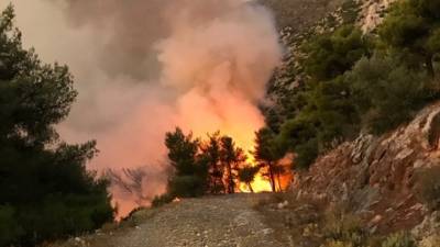 Ηλεία: Ηλεκτρονικό σύστημα για τον ταχύ συντονισμό οχημάτων για την κατάσβεση δασικών πυρκαγιών