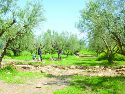 Εγκρίθηκε η παραλλαγή παράκαμψης του Πεταλιδίου 