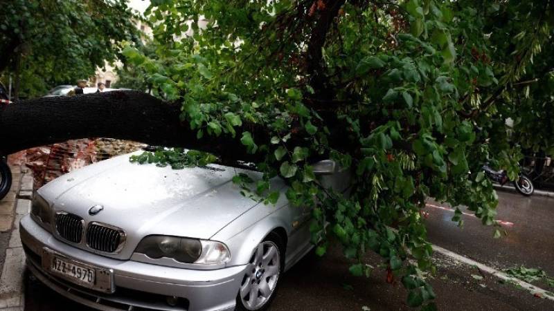 Πτώσεις δέντρων στη Θεσσαλονίκη λόγω των ισχυρών ανέμων