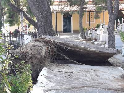 Άνοιξε η γη στο νεκροταφείο Χαρακοπιού