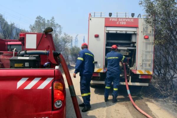 Φωτιά στο Μαρκόπουλο: Μεγάλη κινητοποίηση της Πυροσβεστικής