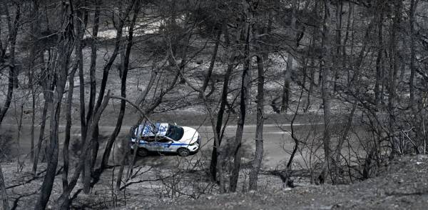 Φωτιά στον Σχίνο: Χωρίς νυχτερινή βάρδια η Πυροσβεστική - 70 χρόνια για να επανέλθει το δάσος στα Γεράνεια