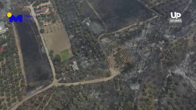 Φωτιά στην Εύβοια: Βίντεο από drone πάνω από τα καμένα και τα μέτωπα