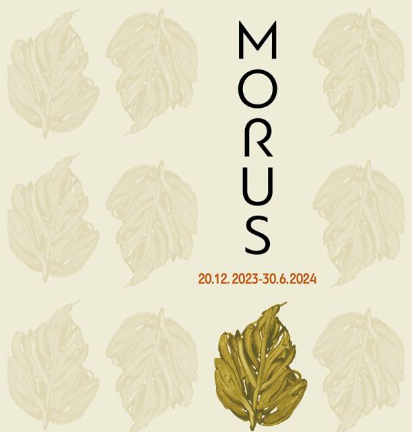 «Morus»: Περιοδική έκθεση στο Μουσείο Μετάξης στο Σουφλί