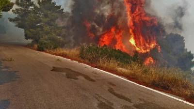 Πυρκαγιά σε δασική έκταση στις Κεχριές Κορινθίας