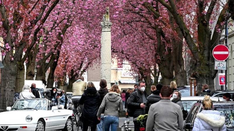 Τα δέντρα δροσίζουν έως 12 βαθμούς τις ευρωπαϊκές πόλεις