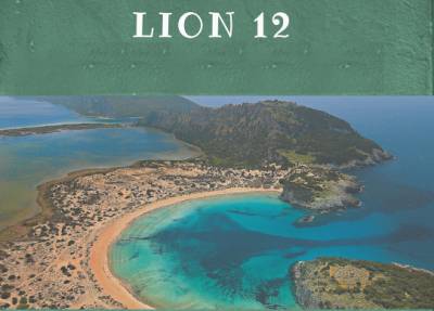 Το διεθνές συνέδριο LION 12 στην Καλαμάτα