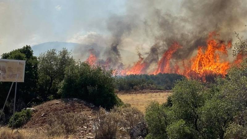 Φωτιά τώρα στη Νέα Περάμο κοντά στα διόδια της Ελευσίνας: Έκλεισε η Αθηνών - Κορίνθου