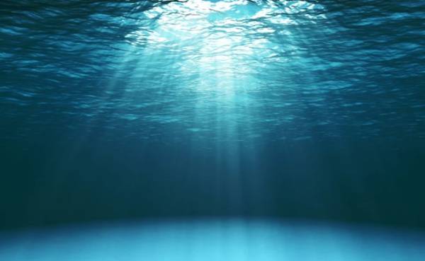 ΟΗΕ για τους ωκεανούς: Μέχρι το 2050 το βάρος των πλαστικών μπορεί να είναι μεγαλύτερο από όλων των ψαριών
