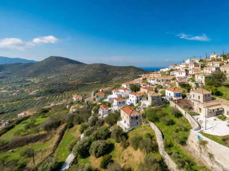 «Οι Δρόμοι της Ελιάς»: Στήριξη στην ευρωπαϊκή πρωτοβουλία για τις μικρές επιχειρήσεις της υπαίθρου