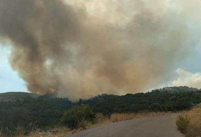 Υψηλός κίνδυνος πυρκαγιάς σήμερα στη Μεσσηνία