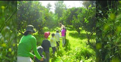 Εκπαιδευτικά προγράμματα του Αγροκτήματος &quot;Φοίφα&quot;
