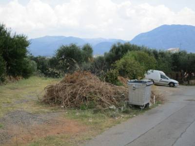 Ξερά χόρτα έξω από τον κάδο 