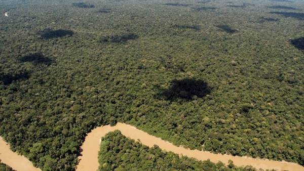 Υποτριπλασιάστηκε τον Ιούλιο η αποψίλωση του τροπικού δάσους του Αμαζονίου