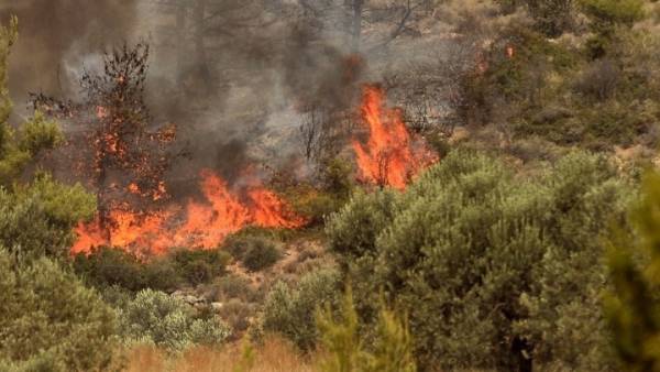 Πυρκαγιές στο νότο της Αλβανίας- Απειλούν ελληνικά μειονοτικά χωριά