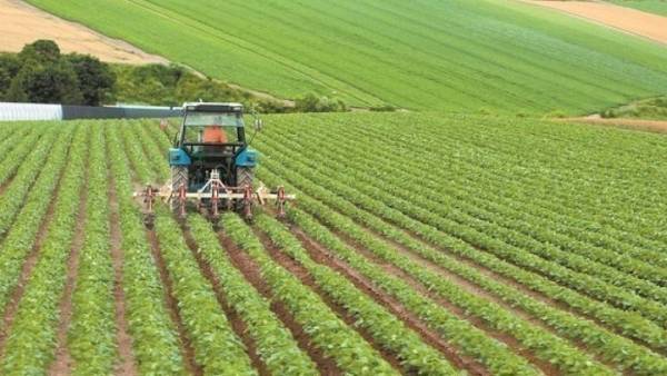 ΥΠΑΑΤ: Κανένας κίνδυνος απένταξης Νέων Αγροτών λόγω της φετινής ακαρπίας