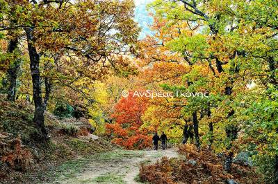 Καταγελία για απαξίωση των φωτογράφων της Τριφυλίας