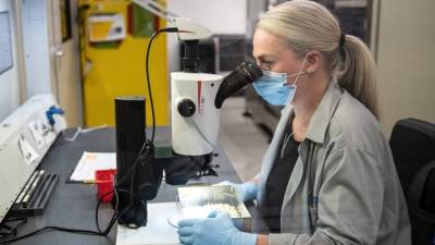 Γρίπη: Μελέτη διερευνά το πώς μεταδίδεται – Η κλινική δοκιμή σε δωμάτιο ξενοδοχείου