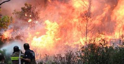 Το ΚΙΝΑΛ Πυλίας για πυρόπληκτους