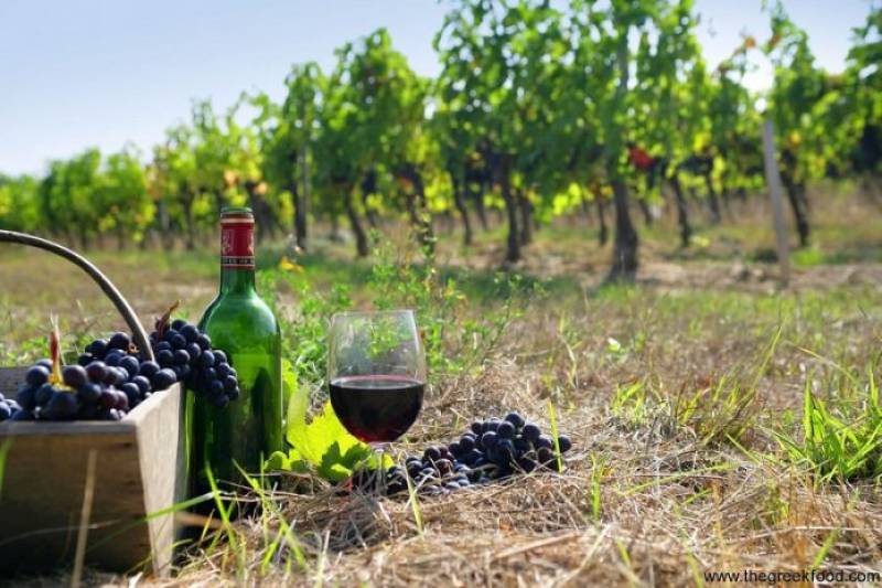 Στην Πελοπόννησο παράγεται το 1/3 του κρασιού της χώρας