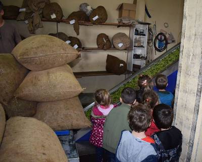 Επίσκεψη του «Παπαδοπούλειου» παιδικού σταθμού σε ελαιοτριβείο της Καλαμάτας