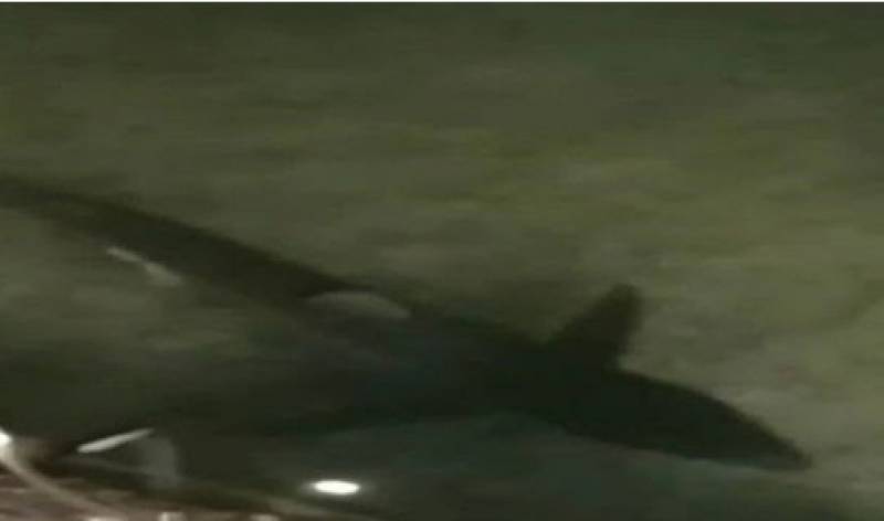 Καρχαρίας δύο μέτρων «έκοβε» βόλτες στο λιμάνι Λουτρακίου (Βίντεο)