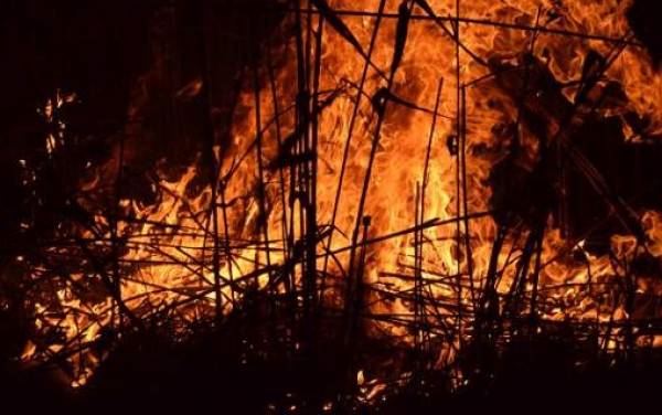 Απειλούνται οικισμοί από φωτιές στη Λακωνία