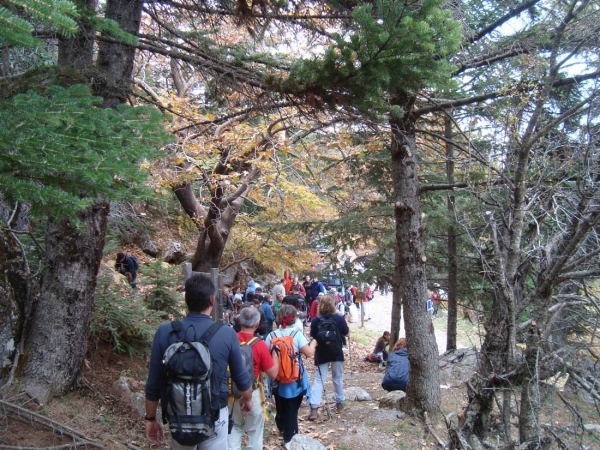 140 άτομα στην πεζοπορία των Ορειβατικών Συλλόγων για το Νικηφόρο Βρεττάκο (φωτογραφίες)
