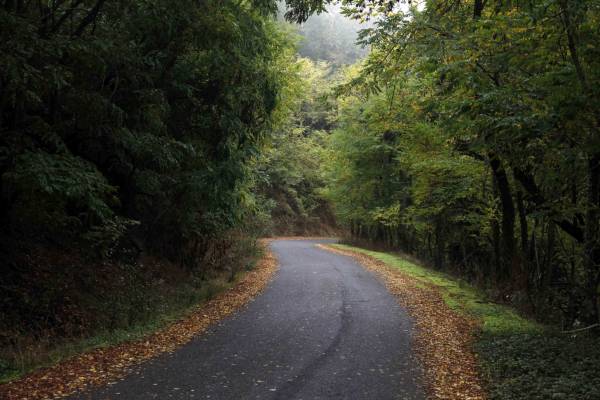 Απαγόρευση κυκλοφορίας σε δάση της Αρκαδίας υπό το φόβο πυρκαγιών