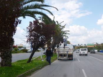 Αλλαγή φωτισμού στη Νέα Είσοδο