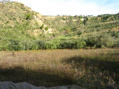 Αγροτικός Σύλλογος Φιλιατρών: “Πάγωμα της διαδικασίας για το Δασολόγιο”