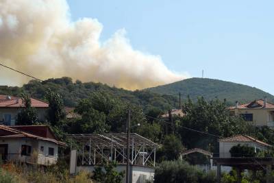 Μεσσηνία: Νέα πυρκαγιά στον Μαγκλαβά προς Κρεμμύδια